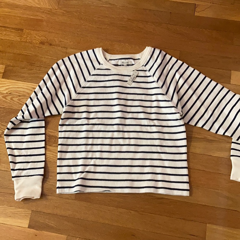 Madewell blue striped sweater